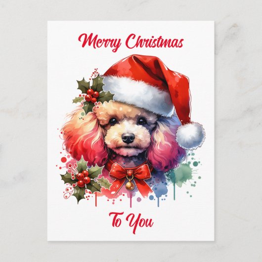 甘い水色のプードルとクリスマスの挨拶 ポストカード (正面)