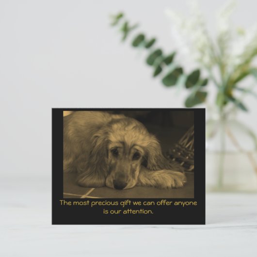 甘い犬と感動的引用文。 ポストカード (スタンド正面)