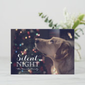 甘い犬の木を見て (スタンド正面)
