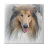 甘い犬 タイル (正面)