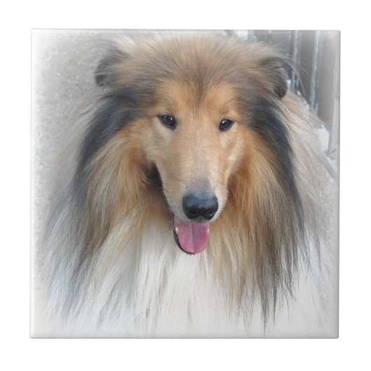 甘い犬 タイル (正面)