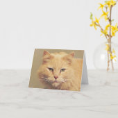 甘い猫がすぐ元気に カード (黄色い花)