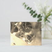 甘い献身 – ポストカード (スタンド正面)