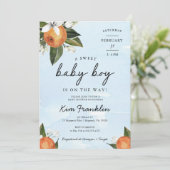 甘い男の赤ちゃんが途中クレメンティンオレンジI 招待状 (スタンド正面)