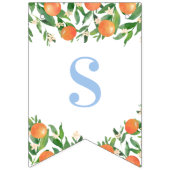 甘い男の赤ちゃんシトラスパウダーブルーベビーシャワー バンティングフラッグ (第2の旗)