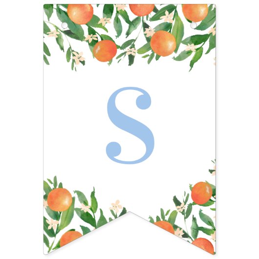 甘い男の赤ちゃんシトラスパウダーブルーベビーシャワー バンティングフラッグ (第2の旗)