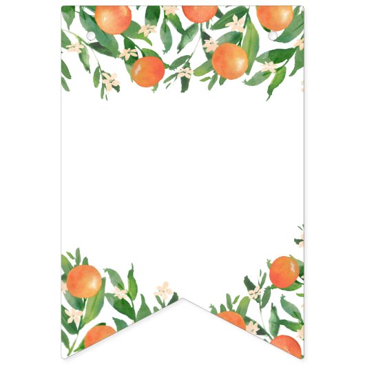 甘い男の赤ちゃんシトラスパウダーブルーベビーシャワー バンティングフラッグ (第1の旗)