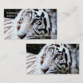 甘い直面された白いトラ 名刺 (正面/裏面)