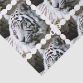 甘い直面された白いトラ 薄葉紙 (詳細)