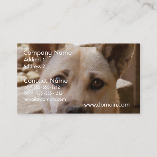 甘い秋田 名刺 (正面)