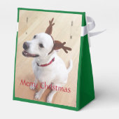 甘い笑顔の白いトナカイ犬クリスマスグリーン フェイバーボックス (裏面サイド)