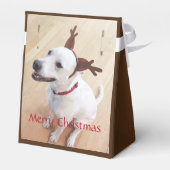 甘い笑顔の白いトナカイ犬クリスマスブラウン フェイバーボックス (裏面サイド)
