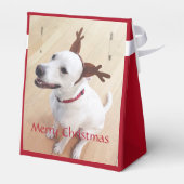 甘い笑顔の白いトナカイ犬クリスマスレッド フェイバーボックス (裏面サイド)