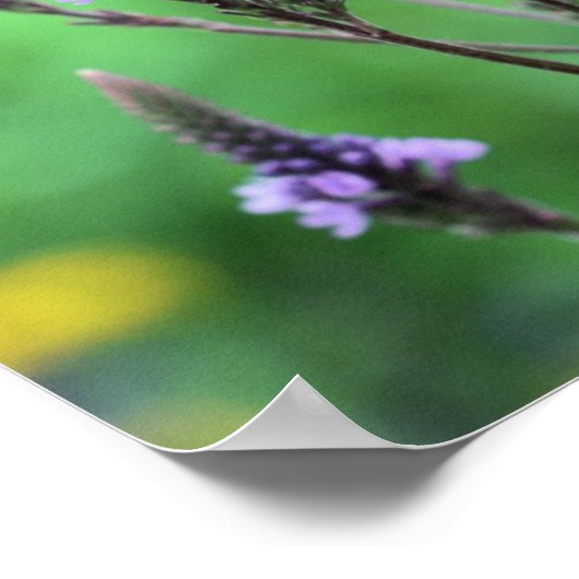 甘い紫の野草の花 ポスター (角)