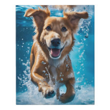 甘い茶色と白い犬が水に飛び散る