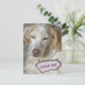 甘い葉書 ポストカード (スタンド正面)