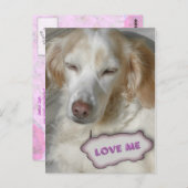 甘い葉書 ポストカード (正面/裏面)