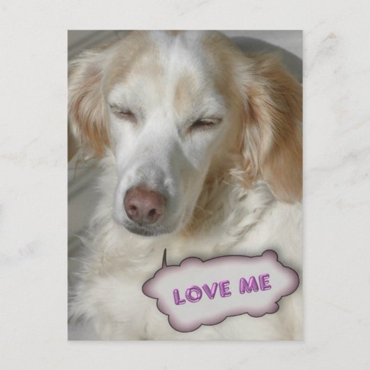 甘い葉書 ポストカード (正面)