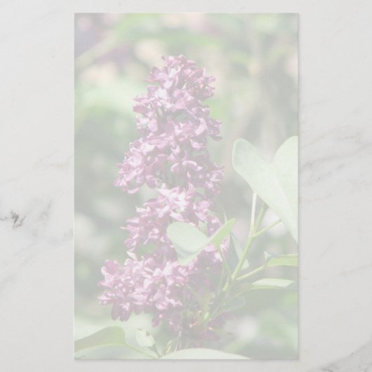 甘い薄紫 便箋 (正面)