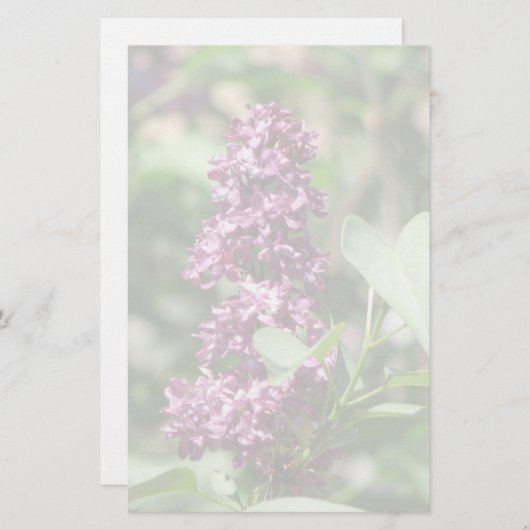 甘い薄紫 便箋 (正面/裏面)