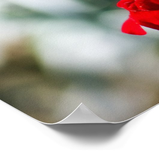 甘い蜜を求めて ポスター (角)