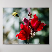 甘い蜜を求めて