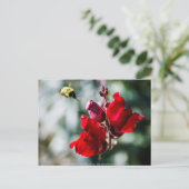 甘い蜜を求めて ポストカード (スタンド正面)