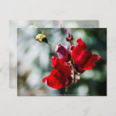 甘い蜜を求めて ポストカード (正面/裏面)