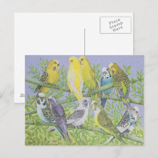 甘い話 ポストカード (正面/裏面)