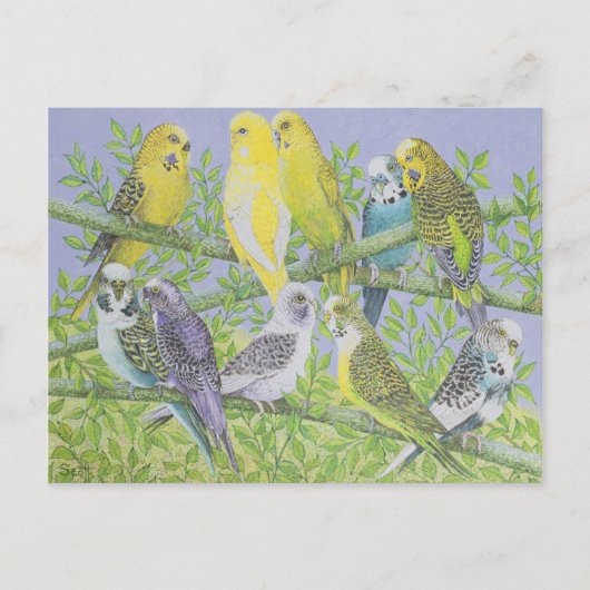 甘い話 ポストカード (正面)