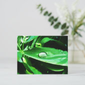 甘い豆と雨 ポストカード (スタンド正面)