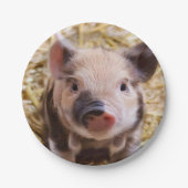 甘い豚 ペーパープレート (正面)