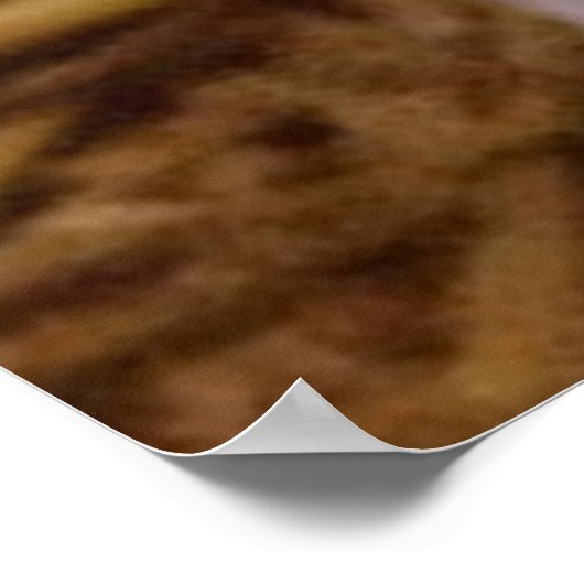 甘い豚 ポスター (角)