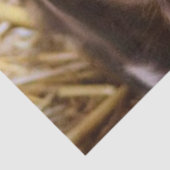 甘い豚 薄葉紙 (詳細)