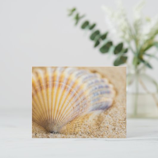甘い貝殻 ポストカード (スタンド正面)