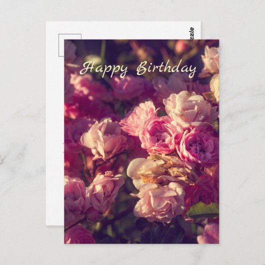 甘い赤いバラパーソナライズされた ポストカード (正面/裏面)