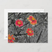 甘い赤花 ポストカード (正面/裏面)