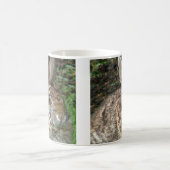 甘い野生のバニーのマグ コーヒーマグカップ (中央)