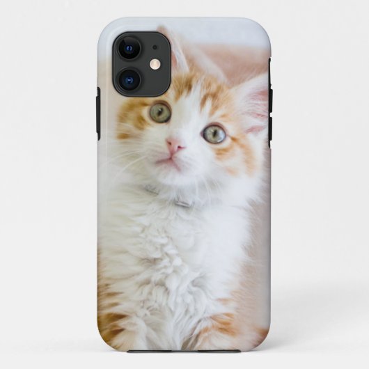 甘い青い目の子猫 Case-Mate iPhoneケース (裏面)