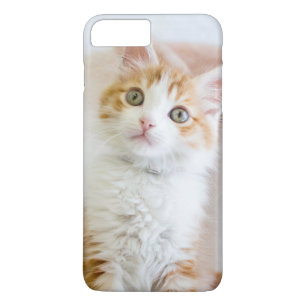 甘い青い目の子猫 iPhone 8 PLUS/7 PLUSケース