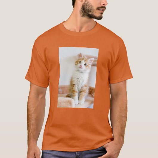 甘い青い目の子猫 Tシャツ (正面)