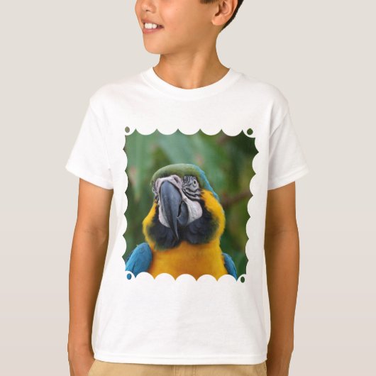 甘い青および金ゴールドのコンゴウインコ Tシャツ (正面)
