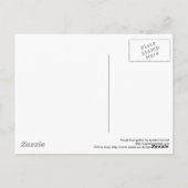 「甘い静けさ」のイスラム教の幾何学の郵便はがき ポストカード (裏面)