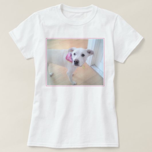 甘い顔が顔を上げる犬の写真 Tシャツ (デザイン正面)