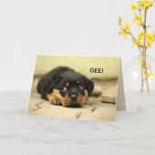 甘い顔のGET WELL CARD カード (黄色い花)