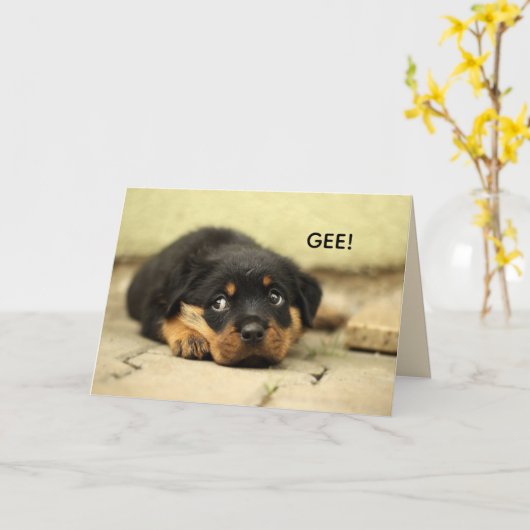 甘い顔のGET WELL CARD カード (黄色い花)