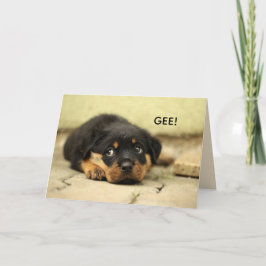 甘い顔のGET WELL CARD カード