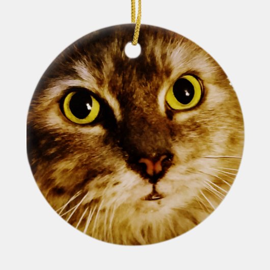 甘い顔子猫 セラミックオーナメント (正面)