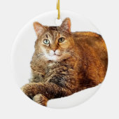 甘い顔子猫 セラミックオーナメント (裏面)