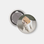 甘い魅力的ポンユニークム磁石 マグネット (正面/裏面)